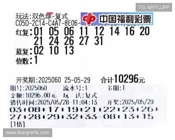 K8龙虎真人游戏中的投注技巧与陷阱分析，助你理性投注实现盈利目标